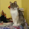 Отзыв от Альбина Астахова